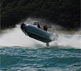 Sealeags